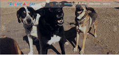 Desktop Screenshot of k9stayandplay.com